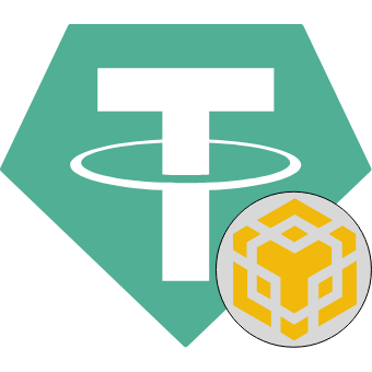 USDT BNB Smart Chain